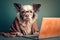a very old dog wearing glasses with a laptop created with Generative AI technology