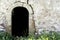 Very old entrance stone door and wall in forest