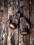 very old leather brown boxing gloves hang on an old shabby wooden wall