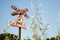 Very old rusty road sign with a train picture - railroad crossing