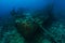 Very old ship wreck from 1800`s inside the reef