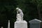 a very old tombstone headpiece statue thinking women angel carved monument marble gravestone in a shadowy graveyard cemetery