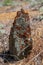 Very old tombstone. Middle Eastern traditional cemetery.