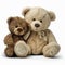 Very old vintage retro toy teddy bears white and brown isolated on white