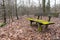 Very old wooden bench covered in moss in the middle of a forest.