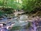 Very picturesque creek in the mountains