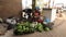 Very poor black woman is selling peeling green bananas in African slums, Uganda.