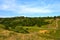 Very pretty forest on the mountain