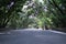 A very quiet approach to a shinto shrine