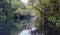 Very quiet image of the river Eume with the banks full of ferns