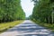very scenic straight road with green trees