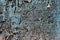 Very shabby weathered peeled painted blue surface of old wall texture pattern macro