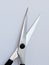 Very sharp tips of a tailor`s scissors on a neutral background