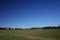 Very simple game field covered with yellowish grass