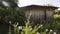 Very simple wooden house, unkempt, a poor farm in Brazil