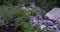 Very slow upward pan of a steady creek and waterfall among the foliage and shade of the mountain