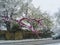 Very snow day with snow and ice on blooming purple redbud tree branch  a car slowly plowing through snow on road in background -