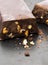 Very thick brick of chocolate with walnut