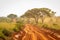 Very typical dirt road for safari in Murchison Falls national park in Uganda at sunset.