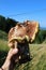 Very unusual shape of boletus mushroom in human hand