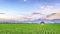 Very vast, broad, extensive, spacious rice field, streched into the horizon