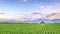 Very vast, broad, extensive, spacious rice field, stretched into the horizon