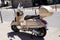 Vespa brown new modern retro style of scooter vintage look