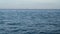 Vessel crossing sea at horizon line.