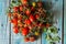 Vesuvius red Piennolo or simply Vesuvian Tomato, on blue wooden background. Piennolo is a cluster tomato grown in Naples, Italy