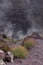 Vesuvius volcano crater