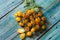 Vesuvius yellow Piennolo or simply Vesuvian Tomato, on blue wooden background. Piennolo is a cluster tomato grown in Naples, Italy