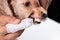 Vet cleaning pet dog teeth coated with plaque with swab