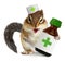 Vet concept, funny squirrel doc hold bottle medications, on whit