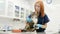 Vet doctor measures the pressure of cat of a Maine Coon breed in a veterinary clinic