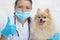 Vet and dog in clinic. happy doctor veterinarian and pomeranian spitz smiling, looking at camera, thumbs up. Veterinary concept. H