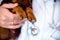 The vet examines a puppy in the hospital. the little dog got sick. puppy in the hands of a veteran doctor.