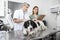 Vet Examining Border Collie While Nurse Writing Prescription