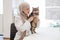 Vet in hijab listening to chest of cat in pet care facility