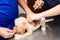 Vet preparing to vaccinate a puppy