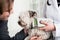 Vet specialist examining sick dog in clinic