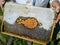 Veteran bee keeper holding apiary hive frame with bees wax structure full of fresh bee honey in honeycombs