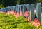 Veteran Cemetery with Flags