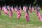 Veterans cemetery flags