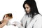 A veterinarian applying bandage on a guinea pig