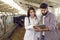 Veterinarian caring for cows on a dairy farm shows data on a digital tablet to the farm owner.