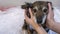 Veterinarian Caring For Injured and homeless Dog. Dog weasel hand on vet.