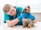 Veterinarian checking dog`s teeth at clinic