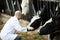 Veterinarian with cows in livestock farm