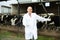 Veterinarian with cows in livestock farm