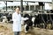 Veterinarian with cows in livestock farm